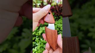 Pocket knife outdoor knife delivery knife knife FruitKnife YTShorts [upl. by Hna]