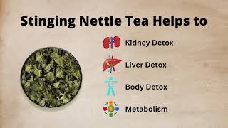 Teacurry Stinging Nettle Tea For Kidney Detox Sugar Blood Purify teacurry nettletea wellnesstea [upl. by Ahseina]