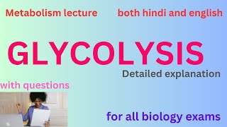 Glycolysis detailed lecture with basics for all biology exams easy explanation [upl. by Harts352]