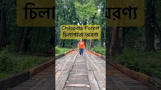 Chilapata Forest  Dooars Tour  Chilapata Jungle Safari  Malangi Tourist Lodge dooarstour travel [upl. by Lucia]