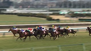 【現地】キングオブコージ 2022 AJCC AJC杯 [upl. by Seif]