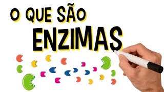 ✅ O QUE SÃO ENZIMAS [upl. by Yenaj]