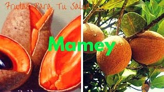 MAMEY 6 Beneficios Importantes [upl. by Lomaj]