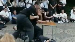 Wing Tsun Compilation  Best Of Leung Ting Linage Kernspecht Boztepe amp other Sifu Highlights [upl. by Anavoig]