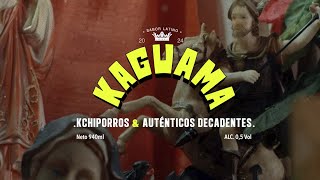 Kchiporros ft Los Auténticos Decadentes  La Kaguama Video Oficial [upl. by Orose924]