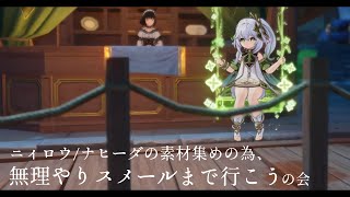 【原神】ストーリー序盤だけど気合でスメールまで行け……行けるのか……？【Vtuber】 [upl. by Thomsen]