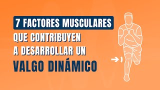 7️⃣ Factores musculares que contribuyen a desarrollar un valgo dinámico [upl. by Dolley]