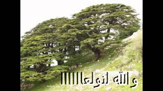 LEBANESE DABKE والله لنولعا دبكة ولا اجمل [upl. by Kala756]