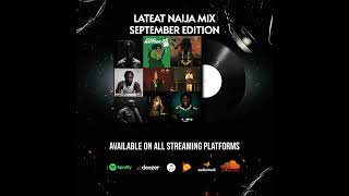 LATEST NAIJA SONGS MIX September 2024 Edition FIREBOY  ASAKE  SEYI VIBEZ  OLAMIDE  SEYI VIBEZ [upl. by Nivak]