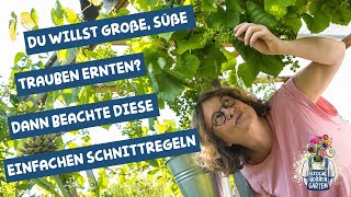 Sommerschnitt an Weinreben  für große süße Trauben und gesunde Blätter I der kleine Horrorgarten [upl. by Hemetaf]