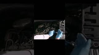 changement injecteur N°3 golf 6 16 TDi 105cv golf6 [upl. by Aldon]