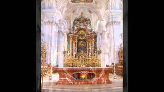 Vier Präludien für Orgel  Nicolaus Bruhns 1665  1697 [upl. by Petua]