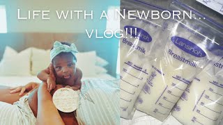 Home and Newborn Vlog Day in the Life with a Newborn Placenta Capsules Boba Baby Wearing [upl. by Edroi985]