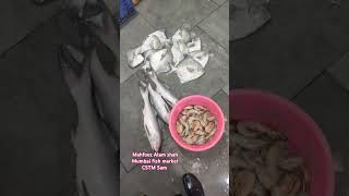 Mahfooz Alam shah Mumbai fish market CSTM Sam [upl. by Sharona]