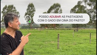 POSSO ADUBAR AS PASTAGENS COM O GADO EM CIMA DO PASTO [upl. by Rudiger]