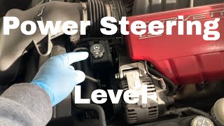 How To Check Your Power Steering Fluid [upl. by Annetta]