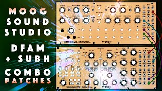 Moog Sound Studio DFAM  Subharmonicon 50 Combo Patches  Samples Demo [upl. by Luben]