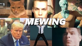 Mewing meme Compilation [upl. by Suiremed]