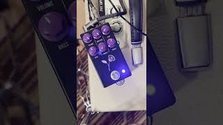 JHS Pedals Violet Distortion Straight forward demo [upl. by Moynahan940]