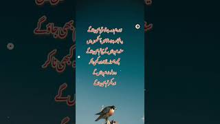 Iqbal poetrylove poetrysadstatus sadpoetry urdupoetry [upl. by Inaluahek107]