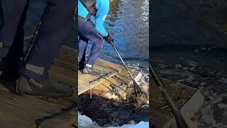 Cleaning around the dock before paddling River sup paddle boarding [upl. by Gifferd]