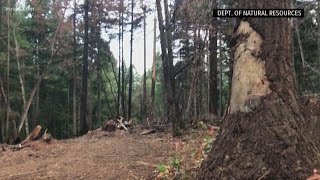 Footage gives first upclose look at stolen plane crash site [upl. by Yeltnerb943]