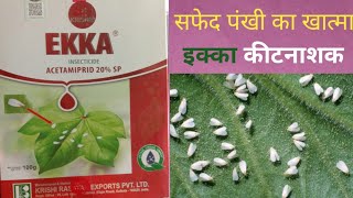 Ekka insecticide। इक्का कीटनाशक।ACETAMIPRID 20 SP। kisan agriculture insecticide [upl. by Biles]