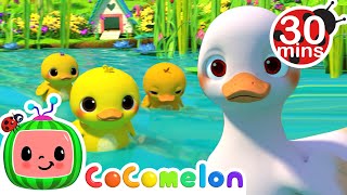 Five Little Duckies 30 MIN LOOP  Animal Songs For Kids [upl. by Vittorio765]