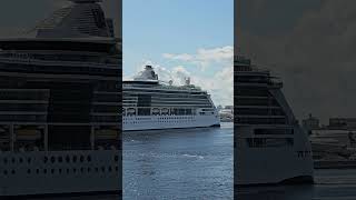 RCCLS Serenade Of The Seas on September 29th 2024 in Tampa [upl. by Kcirdes]