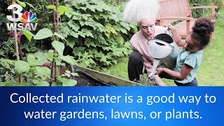 Is it legal to collect rainwater in Georgia [upl. by Marienthal14]