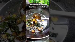 How to Make Amla Hair Oil at Home for Hair Growth shorts [upl. by Anilorac]