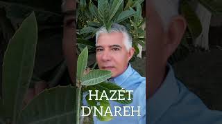 Hazét DNareh  Detalles Cover [upl. by Atinomar]