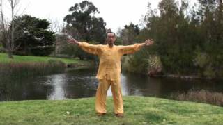 Ziran Qigong Level 1 Form  1st Half [upl. by Pittman]