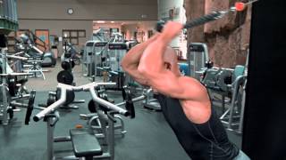 Overhead Cable Tricep Extension [upl. by Lyndsey]