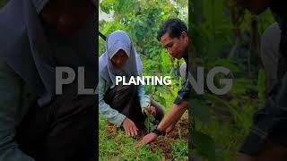 Planting season  Trees4Trees  Bandung  Pati  Kebumen  Explorepage [upl. by Gefen184]