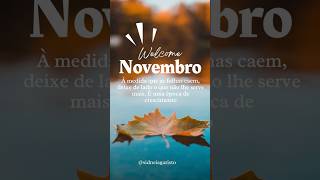 FELIZ NOVEMBRO 🍂🍁 novembro2024 reflexão motivacional shorts [upl. by Ramhaj]