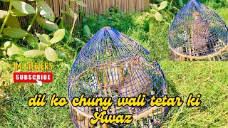 Dil ko chuny wali Tetar Ki Awaz [upl. by Grega]