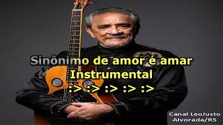 Sinônimos  Zé Ramalho  Karaokê música original [upl. by Lednek]