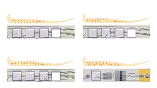 Puma Xetic Midsole Parametric Design [upl. by Karb]