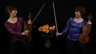 Baroque violin and modern violin Whats the difference An introduction 4K UHD [upl. by Luca]