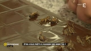 Etesvous prêts à manger des insectes [upl. by Enenaj]