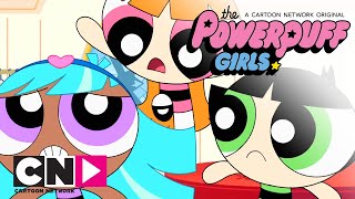 Fetițele Powerpuff  Răzbunarea lui Gnat  Cartoon Network [upl. by Bertie]