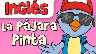 LA PAJARA PINTA canción infantil [upl. by Weider47]