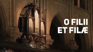 O Filii et Filae — Chant et improvisations [upl. by Aalst]