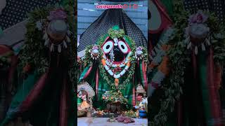 music song newsong jagannathpuritemple jagannathlover [upl. by Allac]