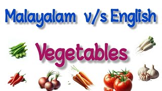 Vegetable Name  malayalam vs english  easy learning [upl. by Solis]