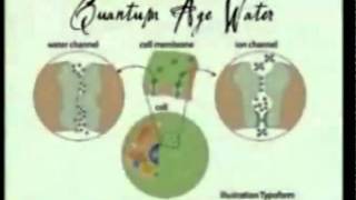 Quantum Age Water  StirWands™ [upl. by Lynnet]