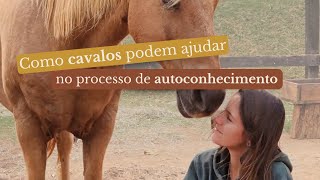 Como cavalos podem ajudar no processo de autoconhecimento [upl. by Bindman202]