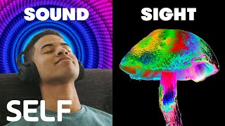 How Magic Mushrooms Affect The 5 Senses  Through The Senses  SELF [upl. by Diane-Marie727]