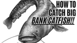 HOW TO Catch BIG Bank Catfish  THE Boatless Catfishing Guide [upl. by Aisel]